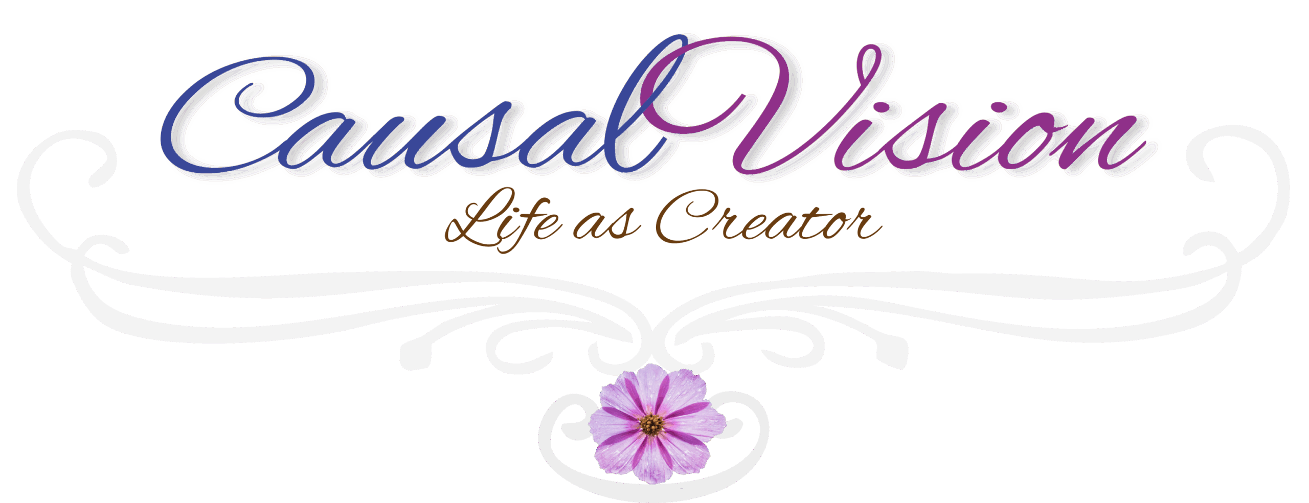 causalvision.com